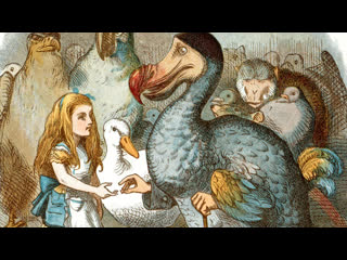 beauty of books / the beauty of book (3) wonderland in pictures (2011) (documentary series, art, history, bbc) 1080p