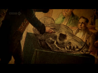 history of science / the story of science (3) how did we appear? (scientific pop series, bbc)