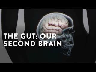 our second brain / the gut: our second brain (2013, france) (documentary film, arte france) 1080p