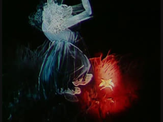 fern flower (gogol) (1979) alla gracheva (cartoon)