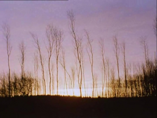 aspect / aspect (4) 6 films / 6 films (2004) emily richardson / emily richardson