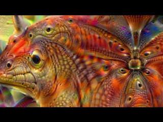 journey on the deep dream