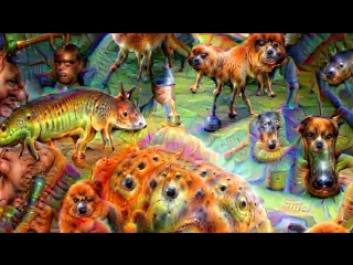 deep dream