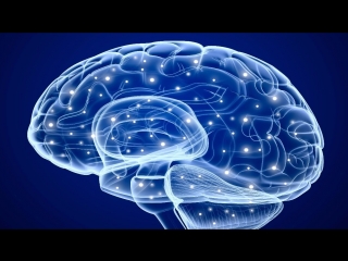 brain with david eagleman (4) how do i make decisions? (2015) (documentary series, science, psychology)