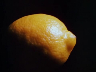 lemon / lemon (1969) hollis frampton / hollis frampton