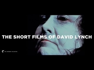 david lynch: short films (one film) (1966-1995) the short films of david lynch