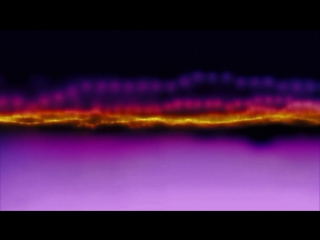 susan hiller. resounding (ultra violet) 2014